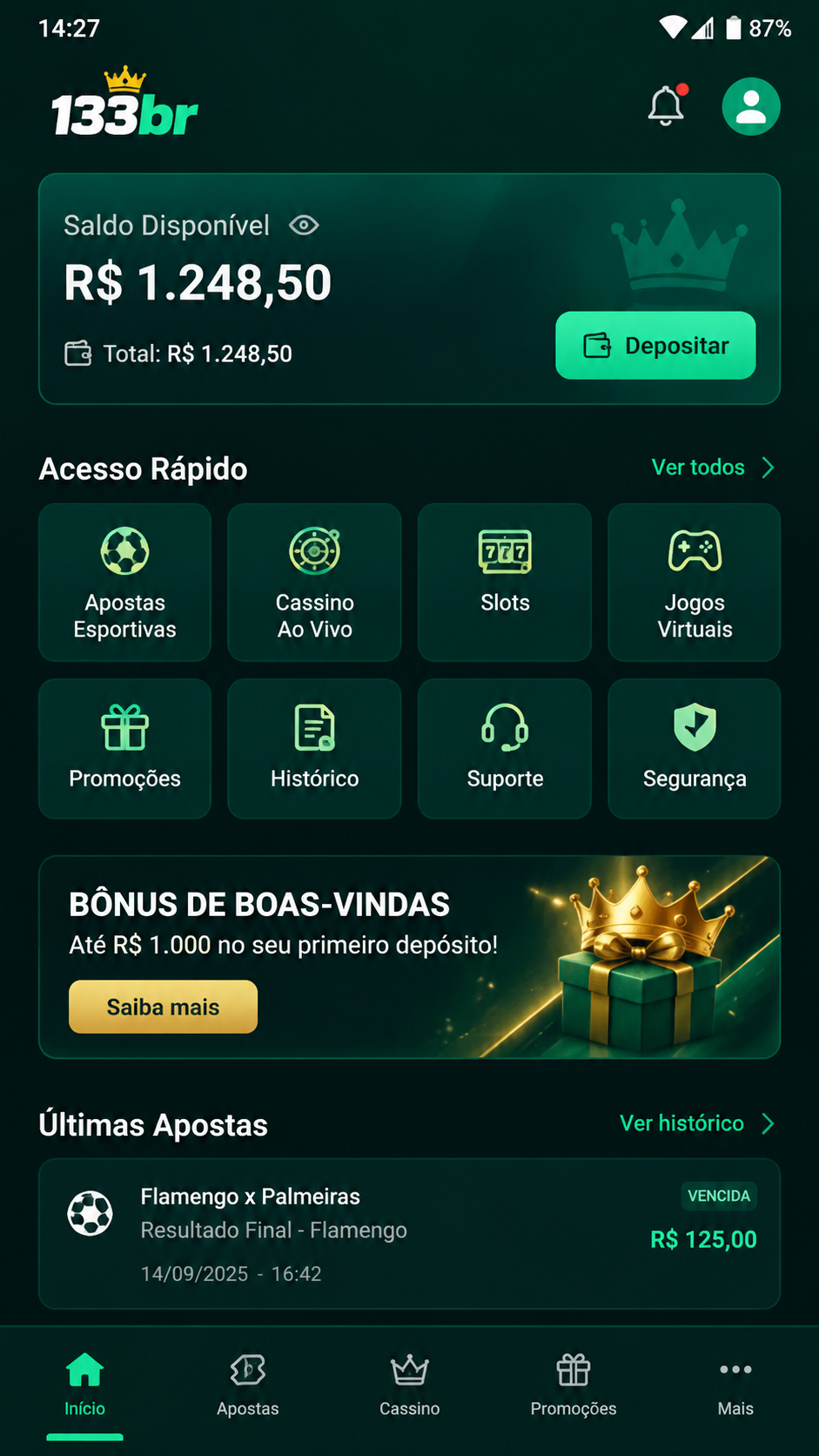 133br screenshot