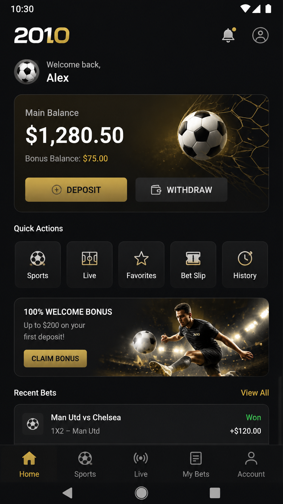 2010 screenshot