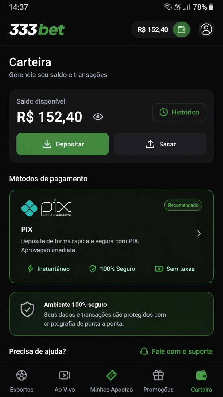 333bet screenshot