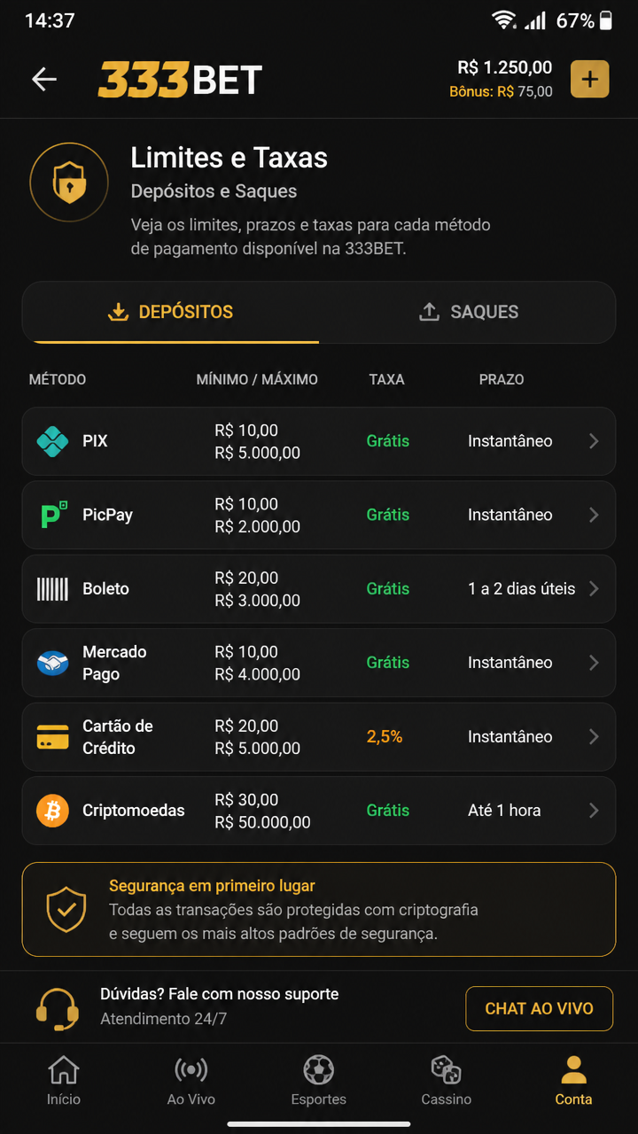 333bet screenshot