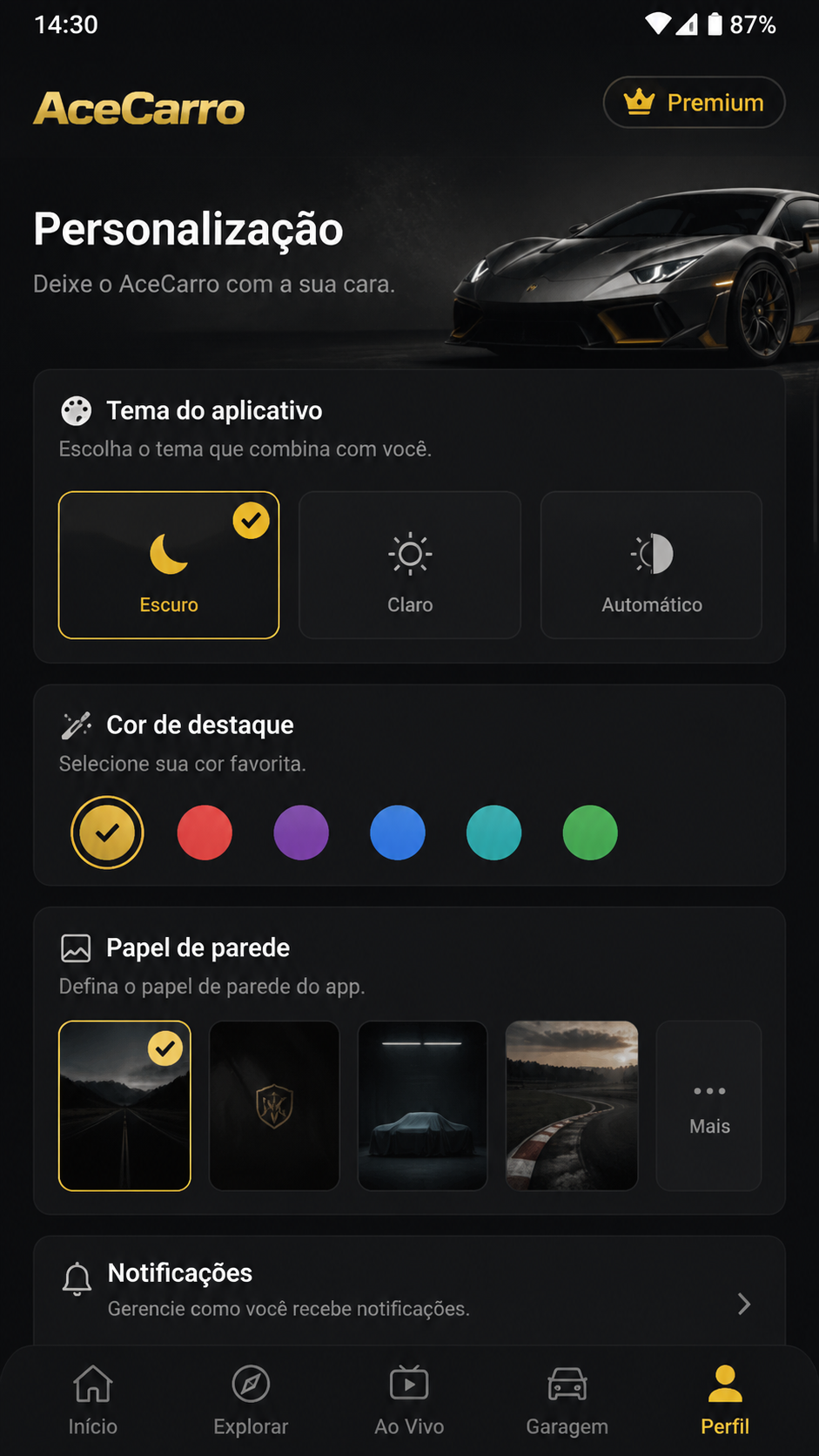 AceCarro screenshot