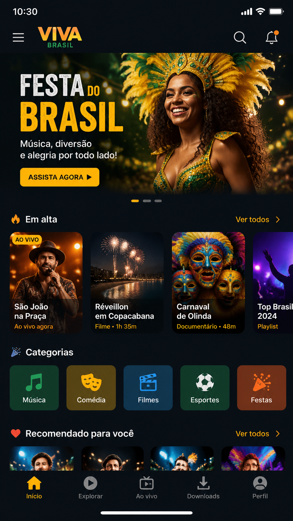 ArraialPG screenshot