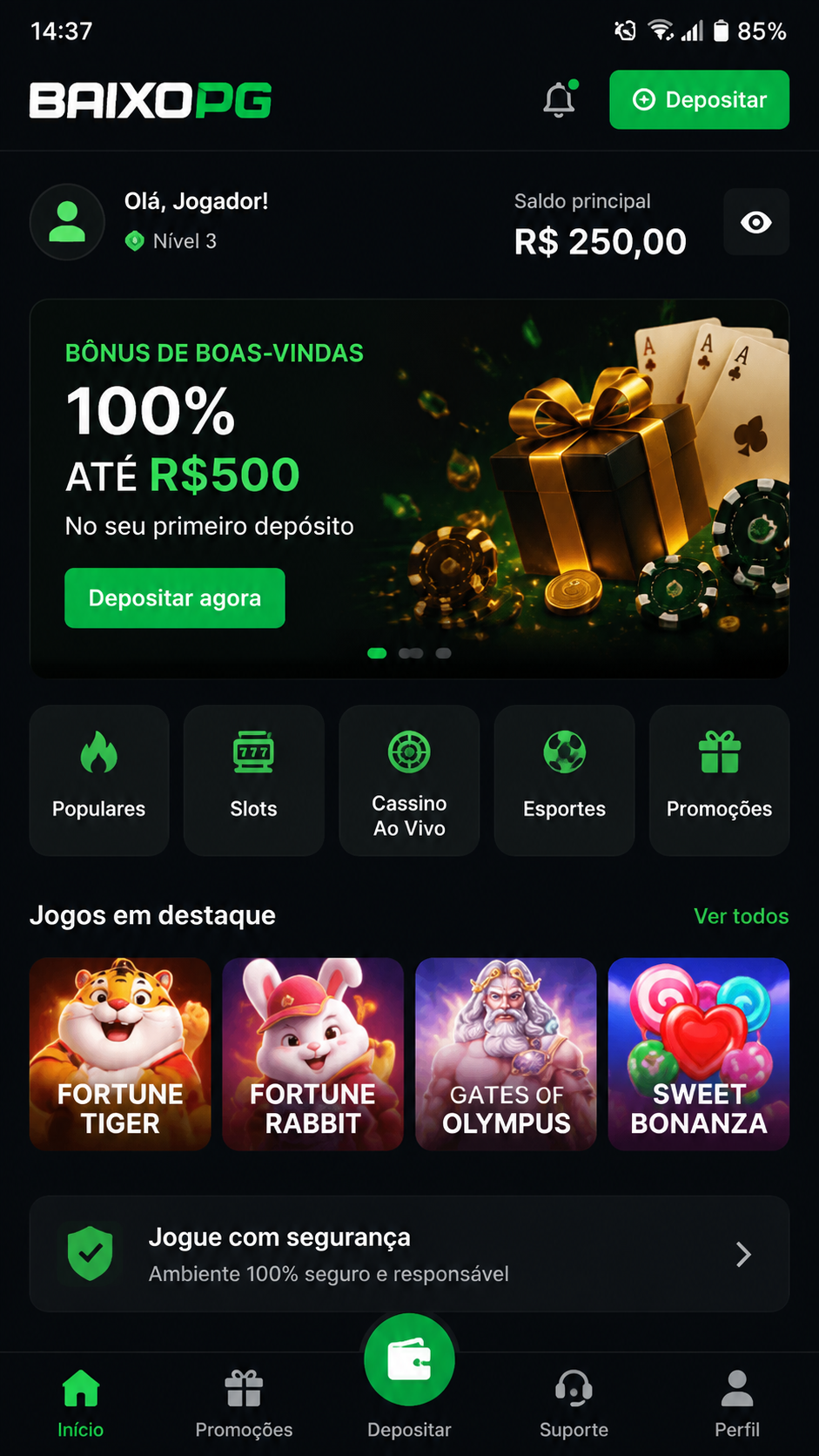 BaixoPG screenshot