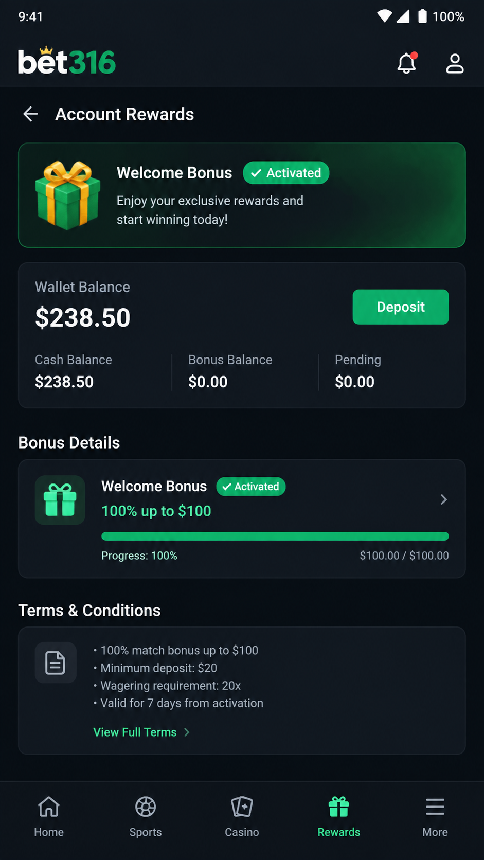 bet316 screenshot