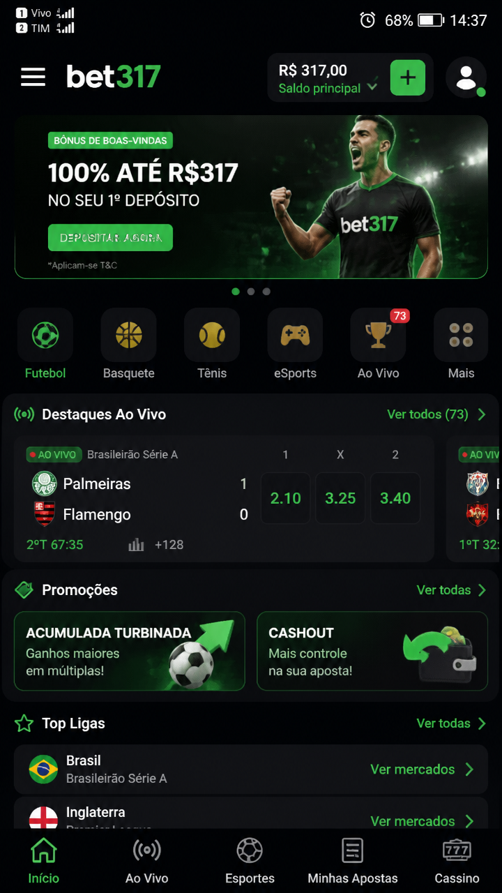 bet317 screenshot