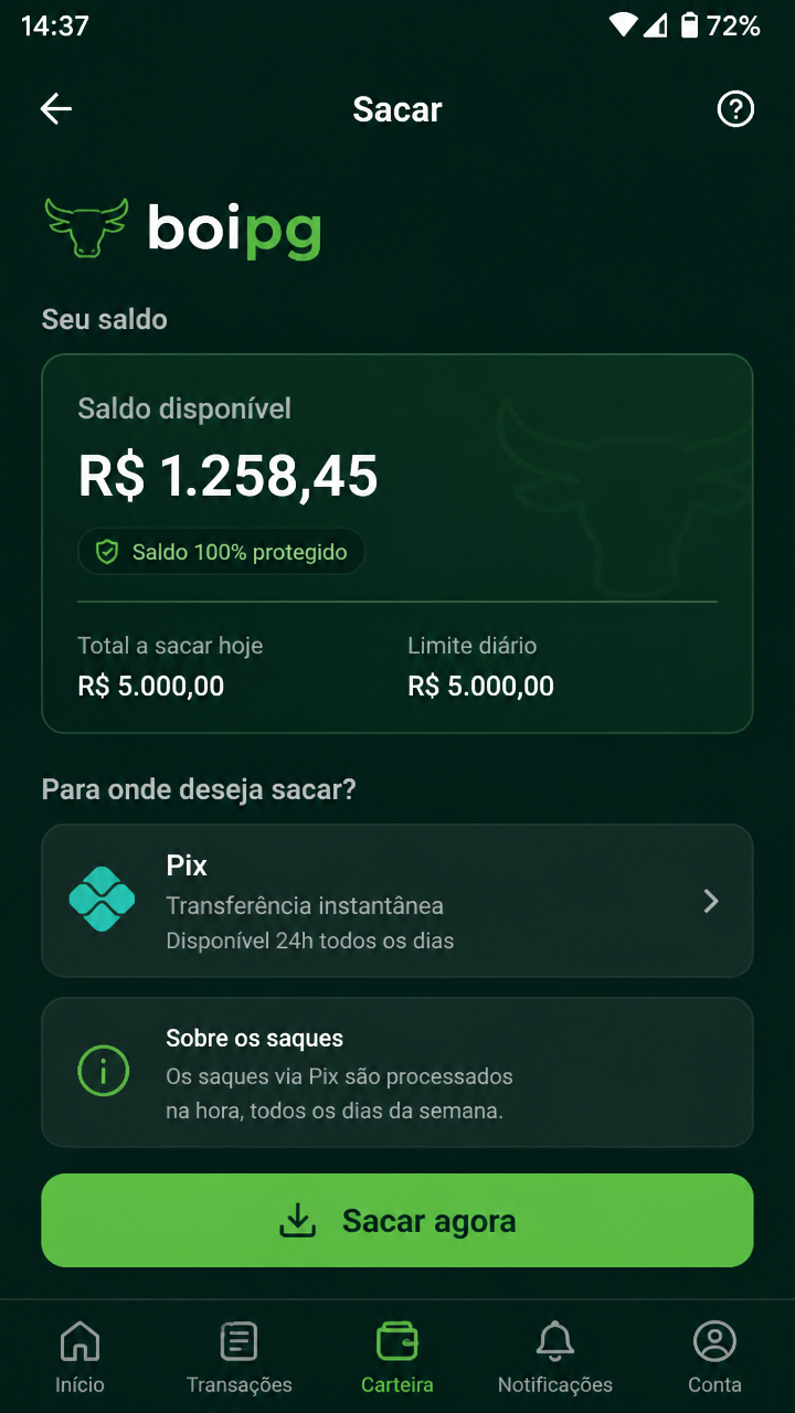 boipg screenshot