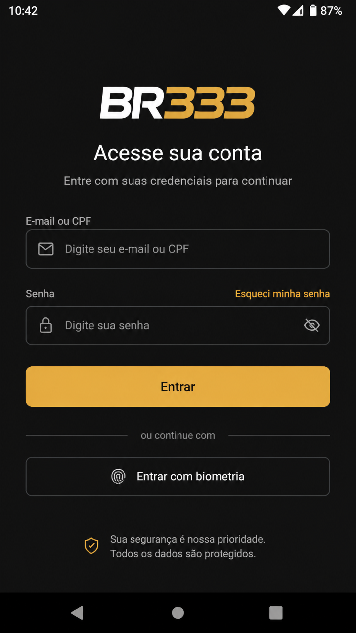 br333 screenshot
