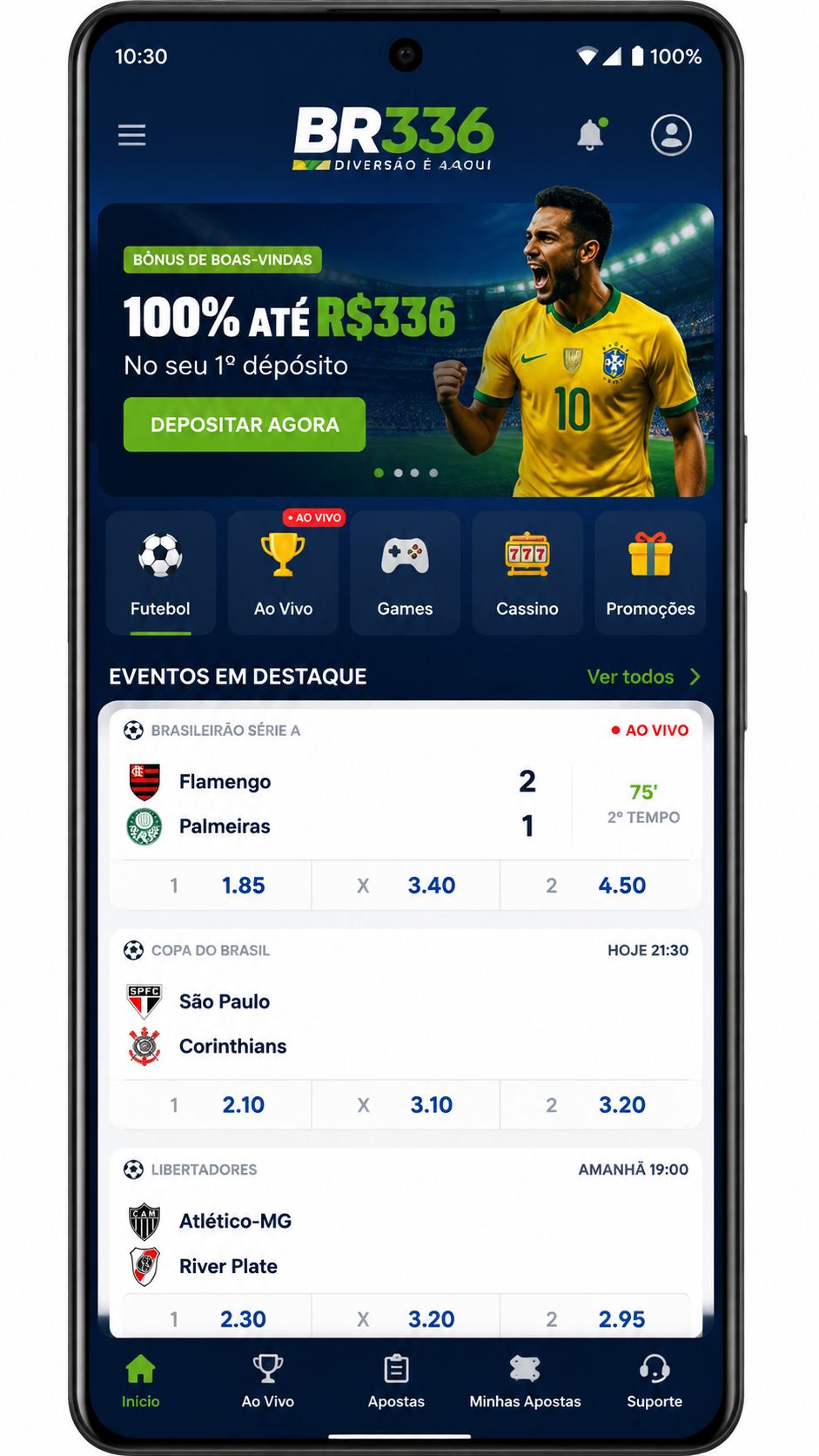 br336 screenshot