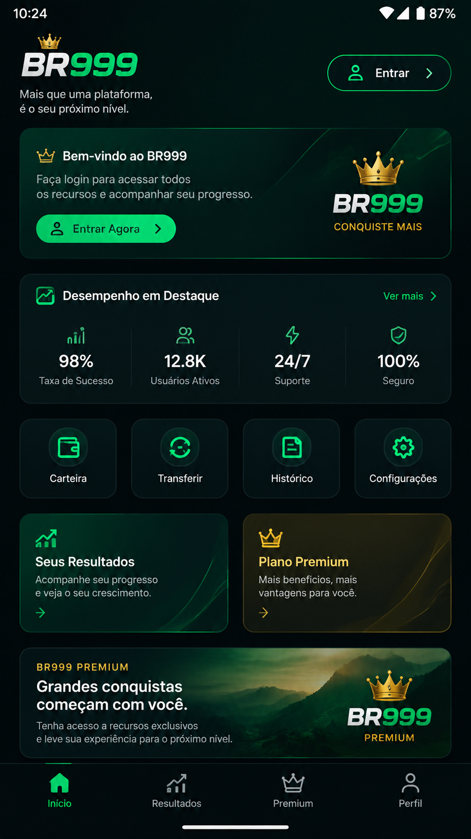 br999 screenshot