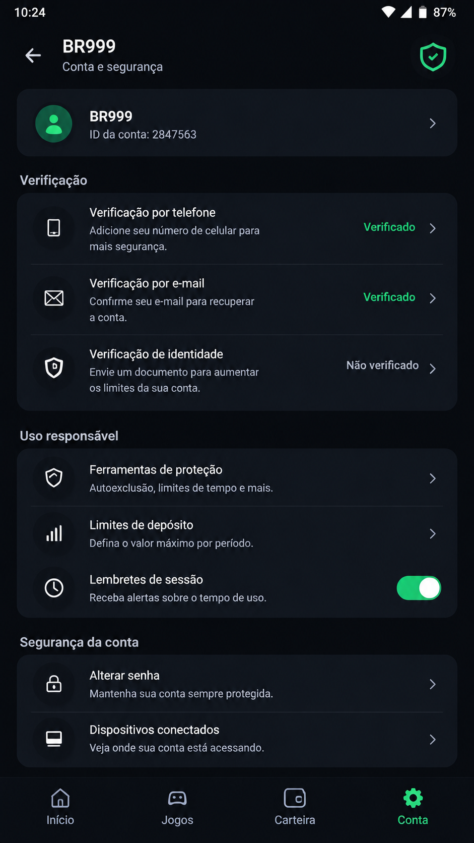 br999 screenshot