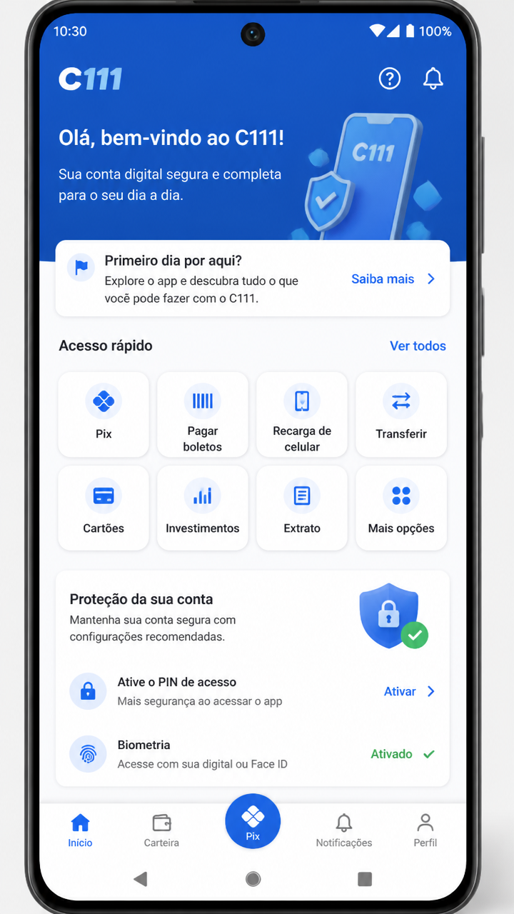 c111 screenshot