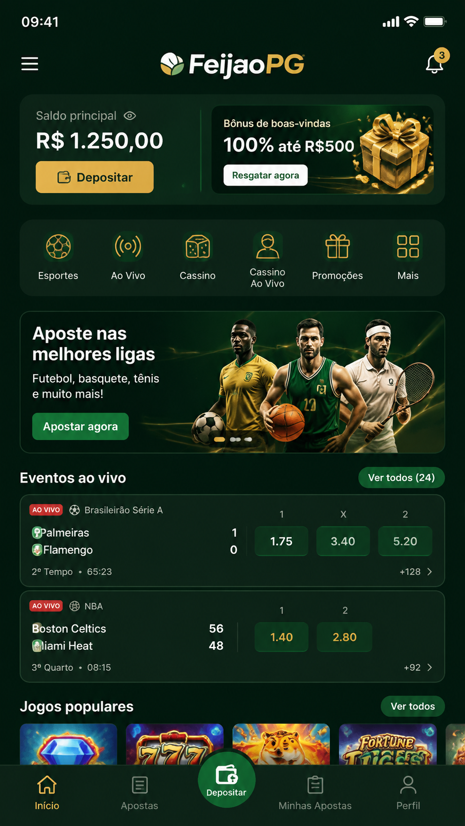 FeijaoPG screenshot
