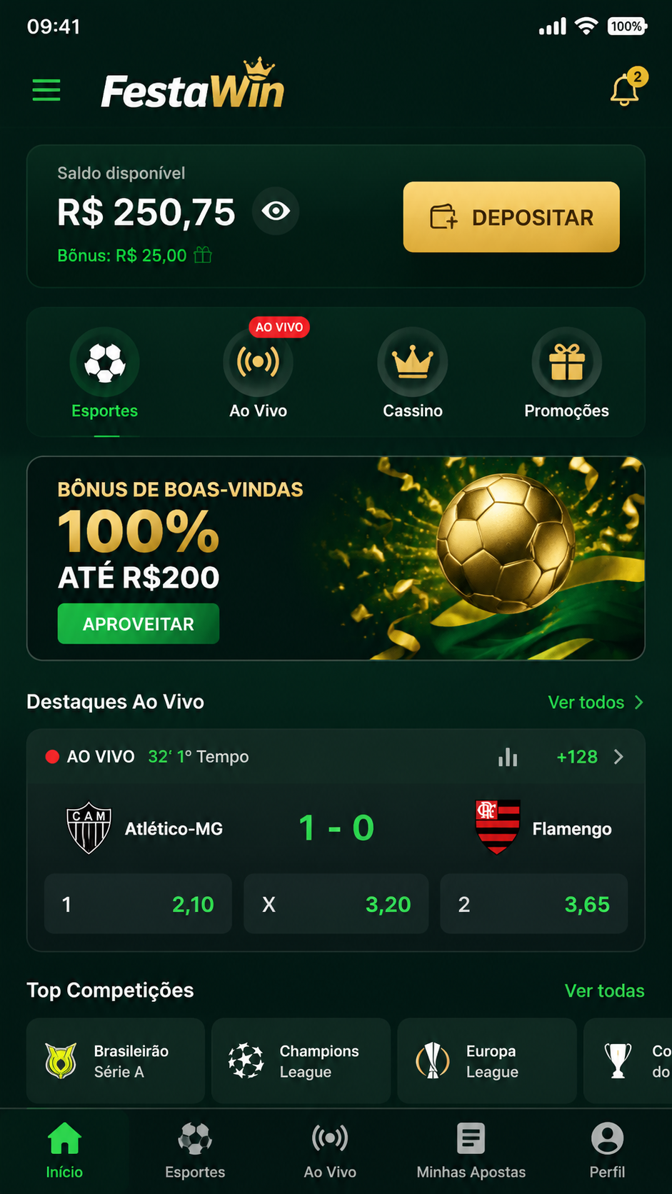 FestaWin screenshot
