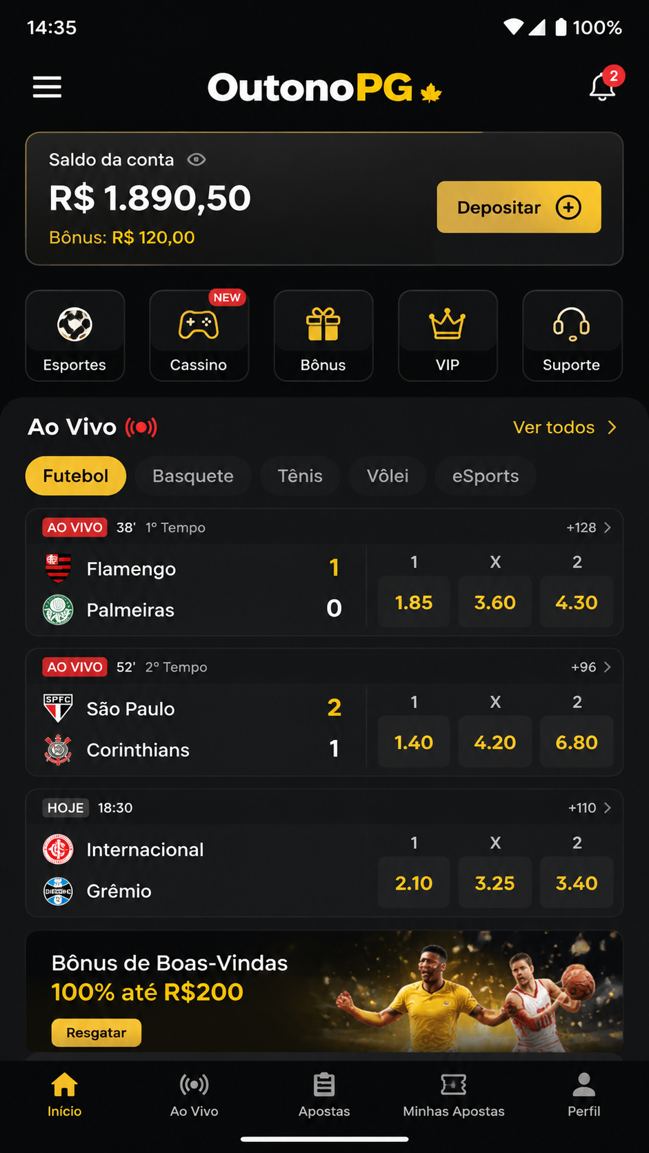 outonopg screenshot