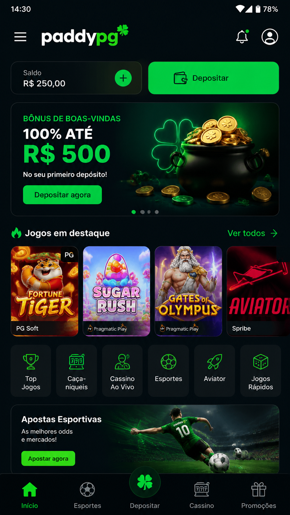 paddypg screenshot