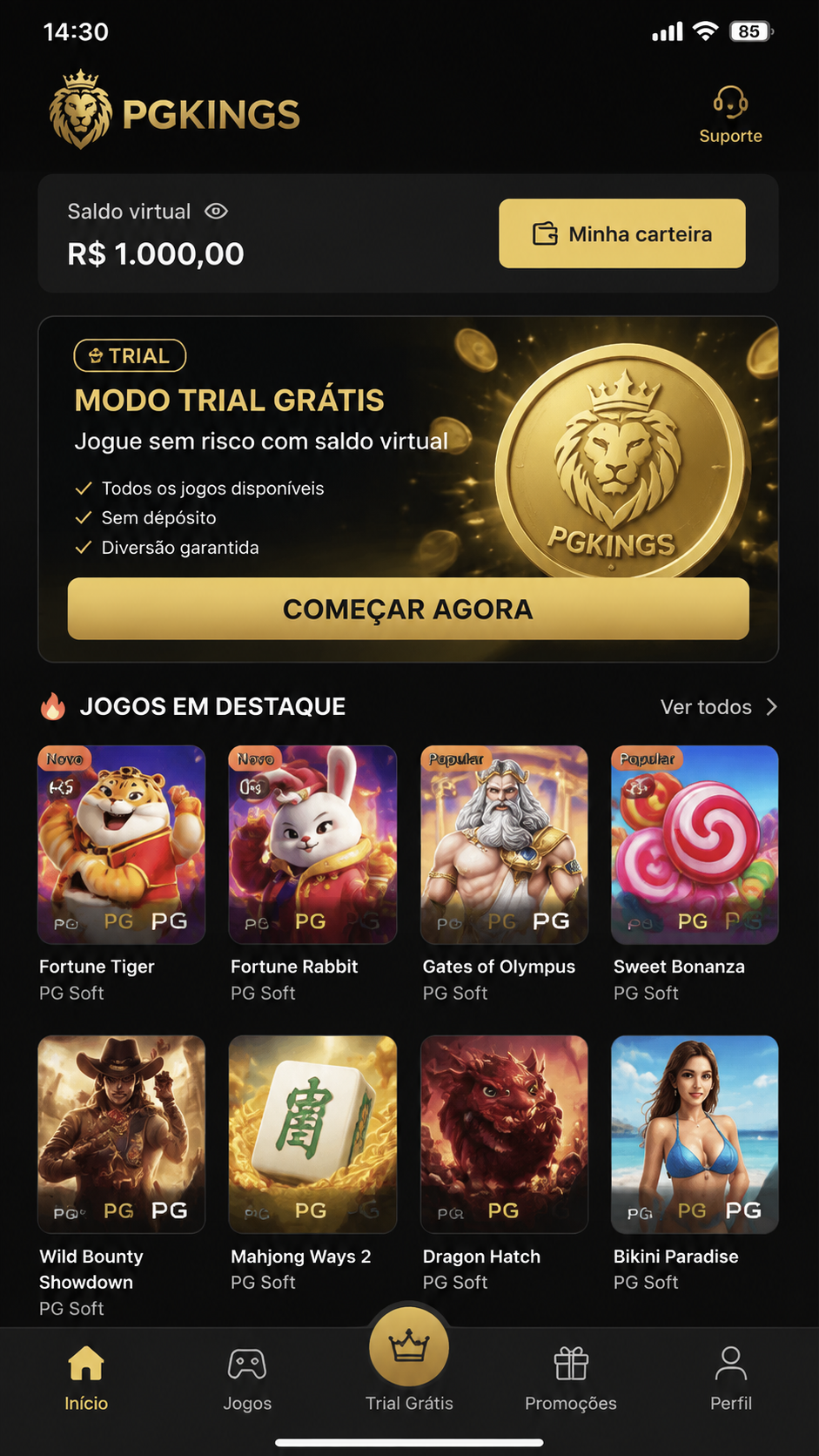 PGKings screenshot
