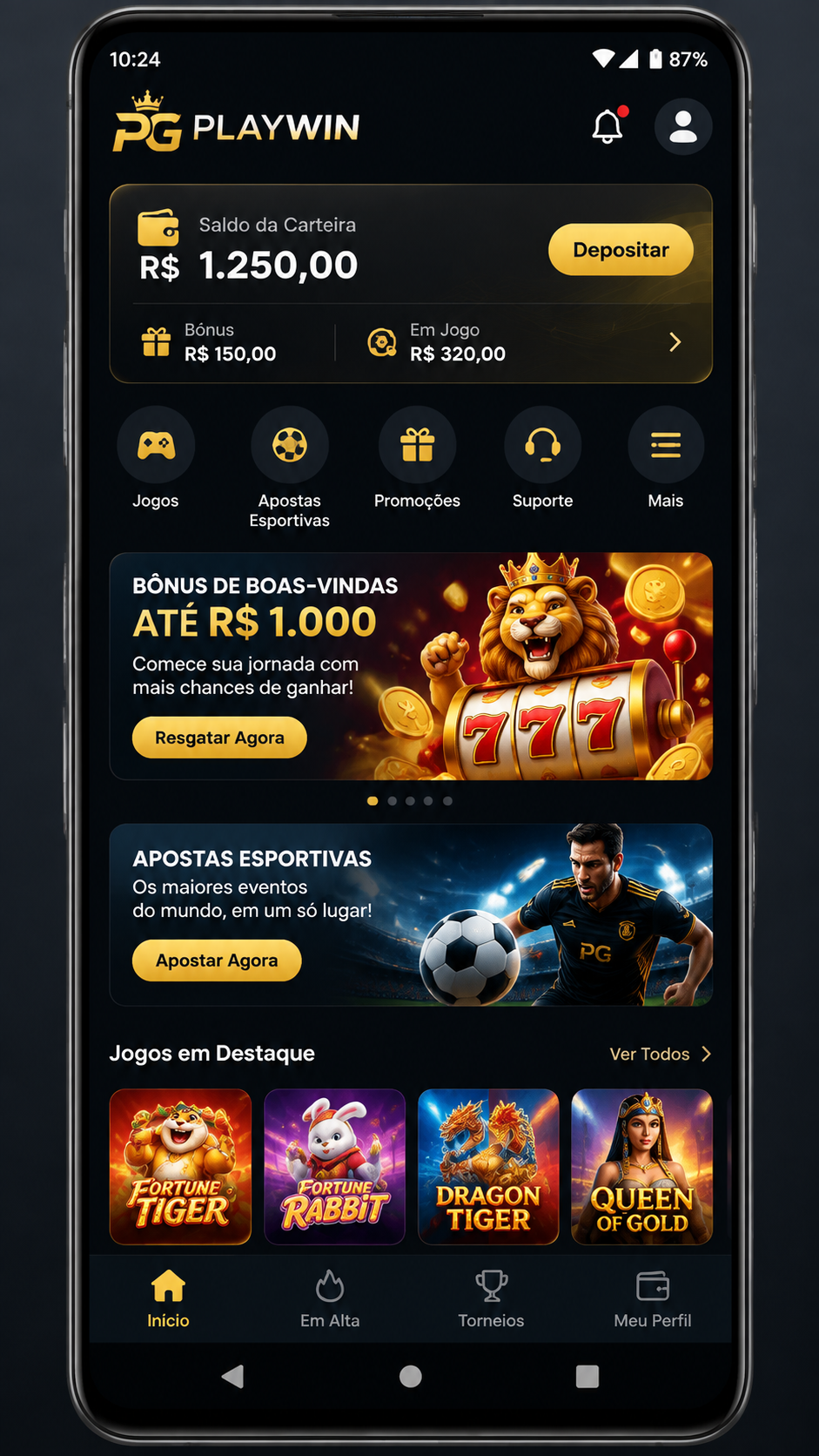 pgplaywin screenshot