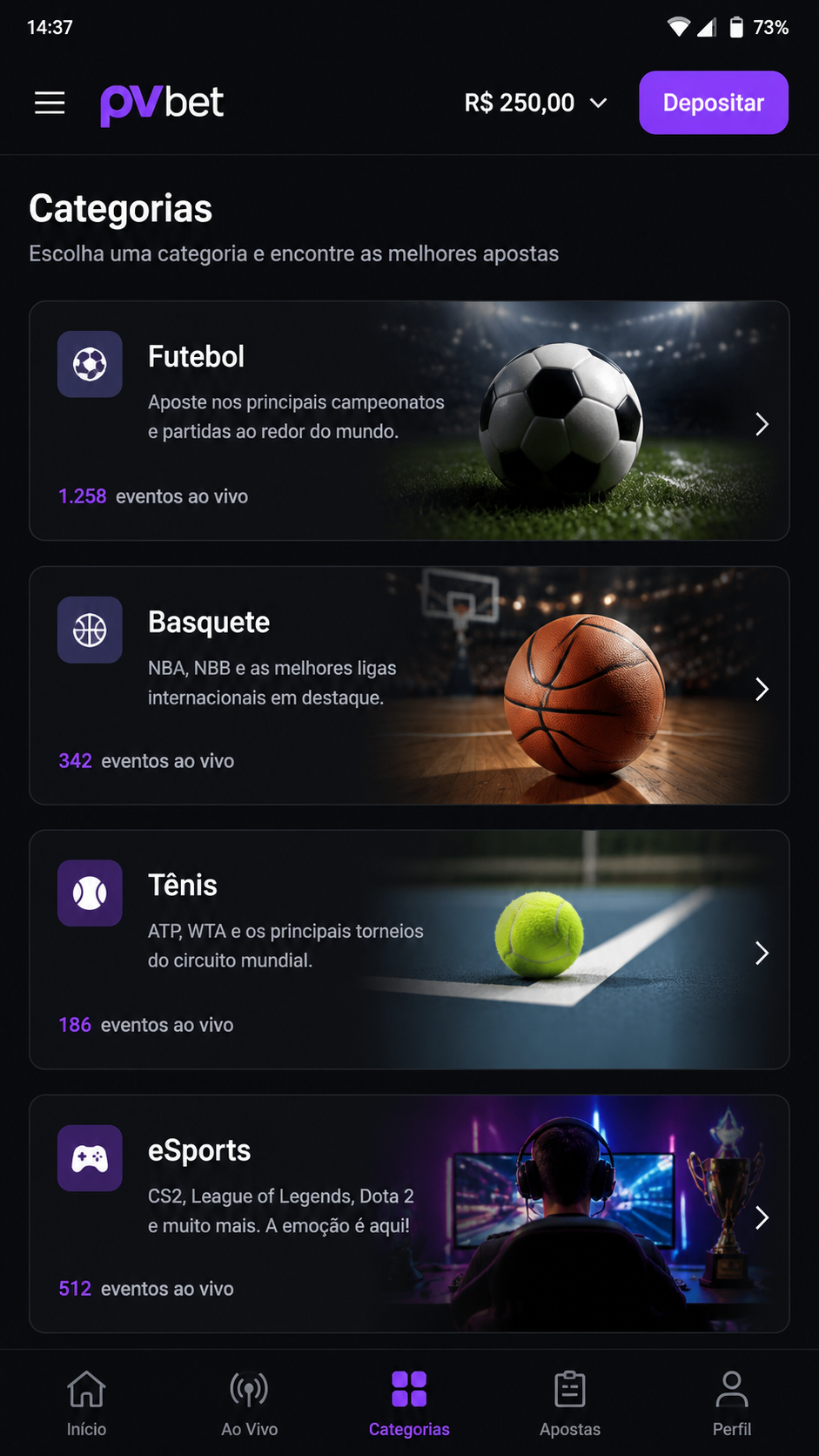 pvbet screenshot