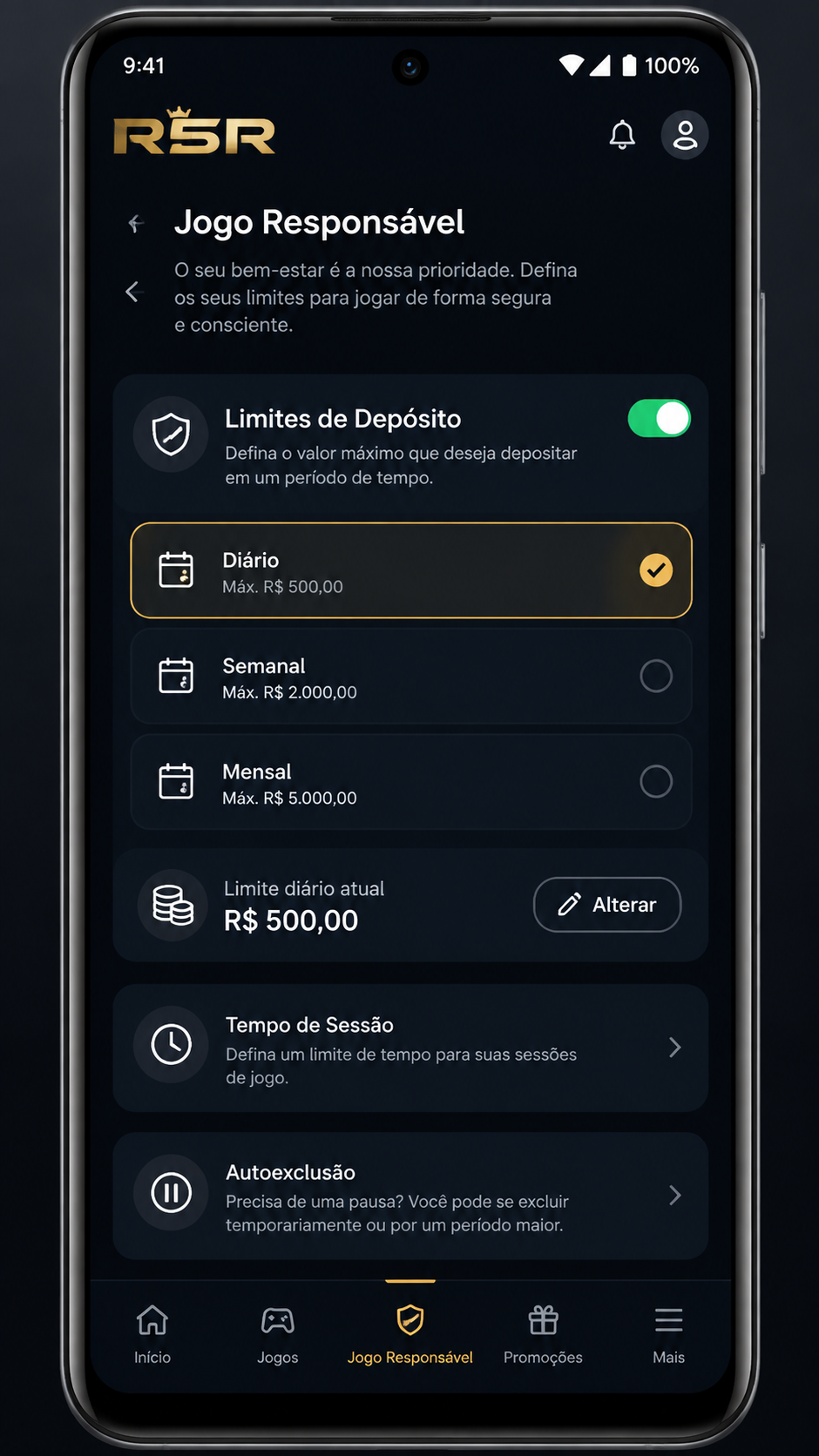r5r screenshot