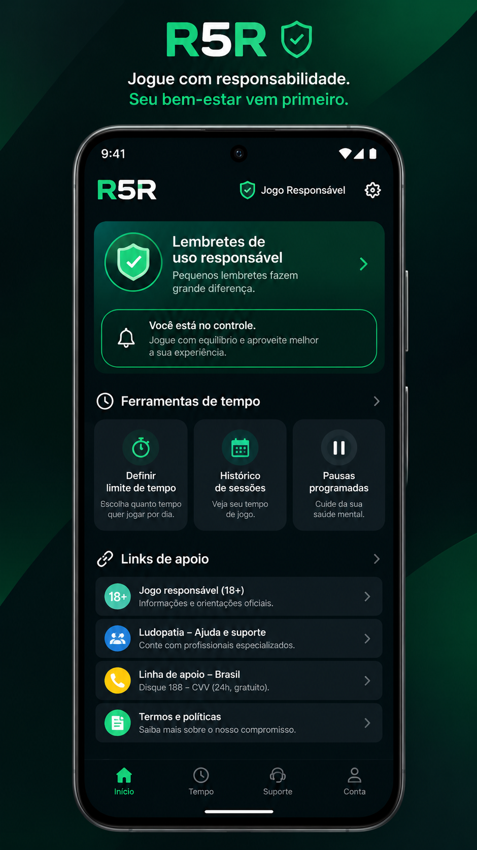 r5r screenshot