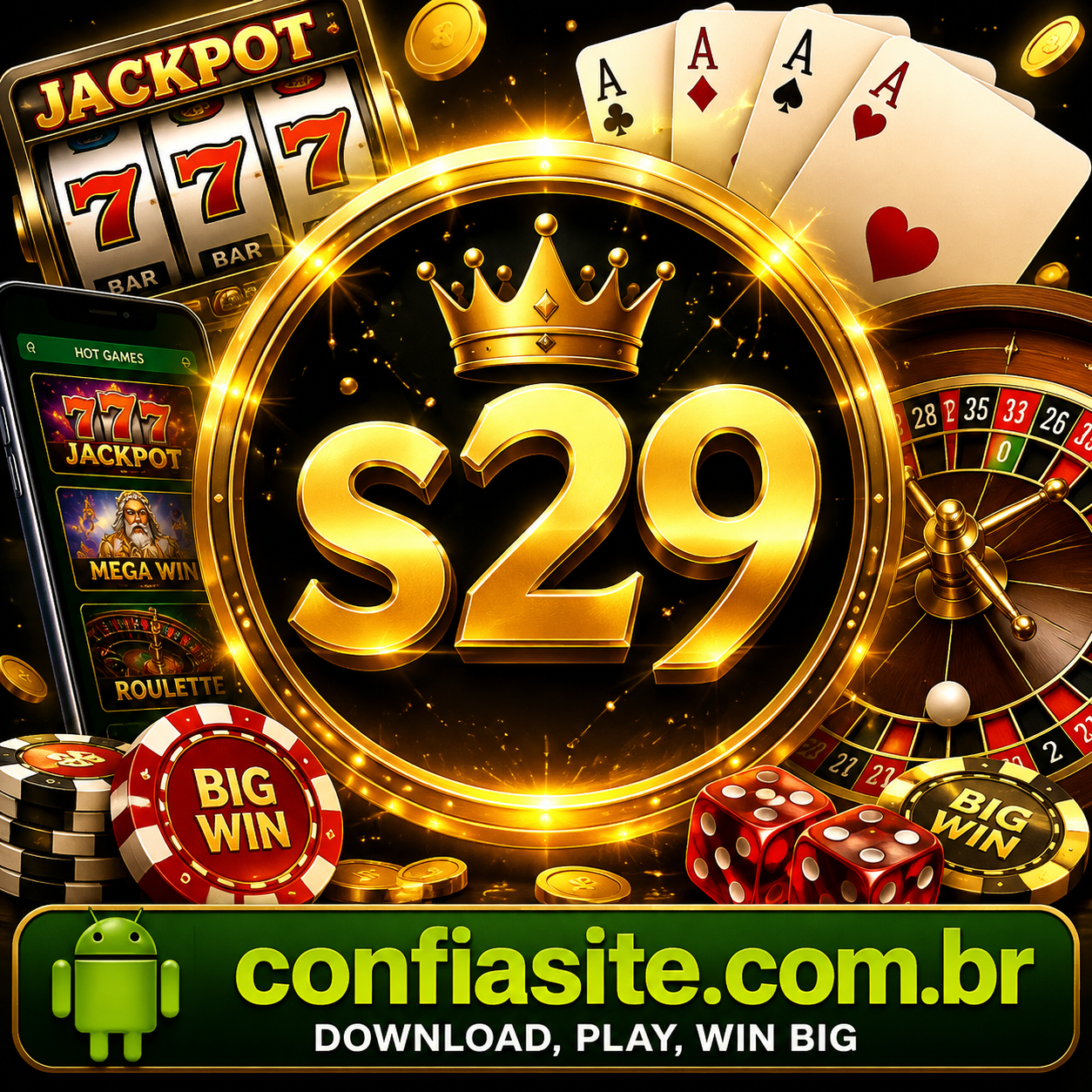 s29