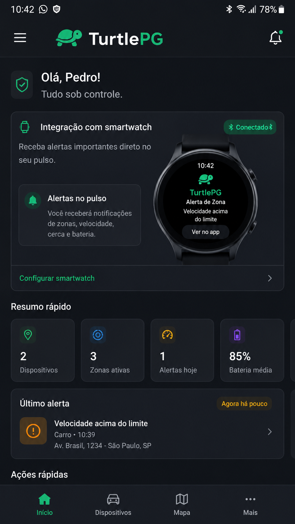 turtlepg screenshot