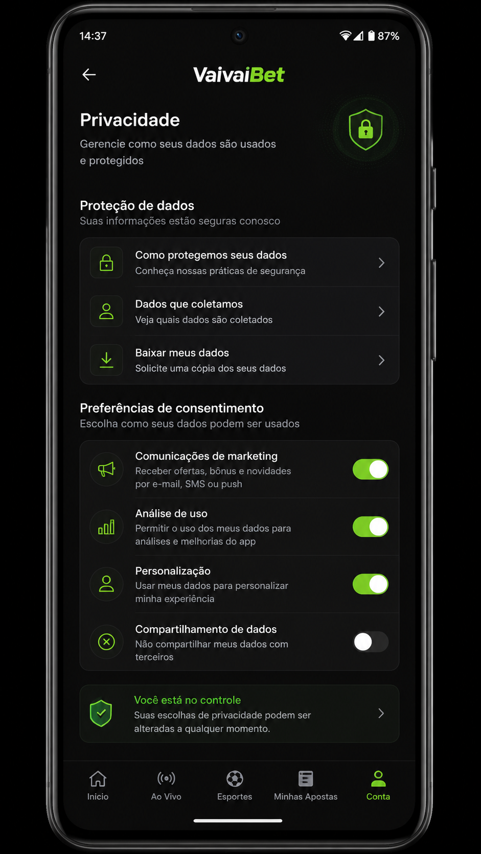 VaivaiBet screenshot