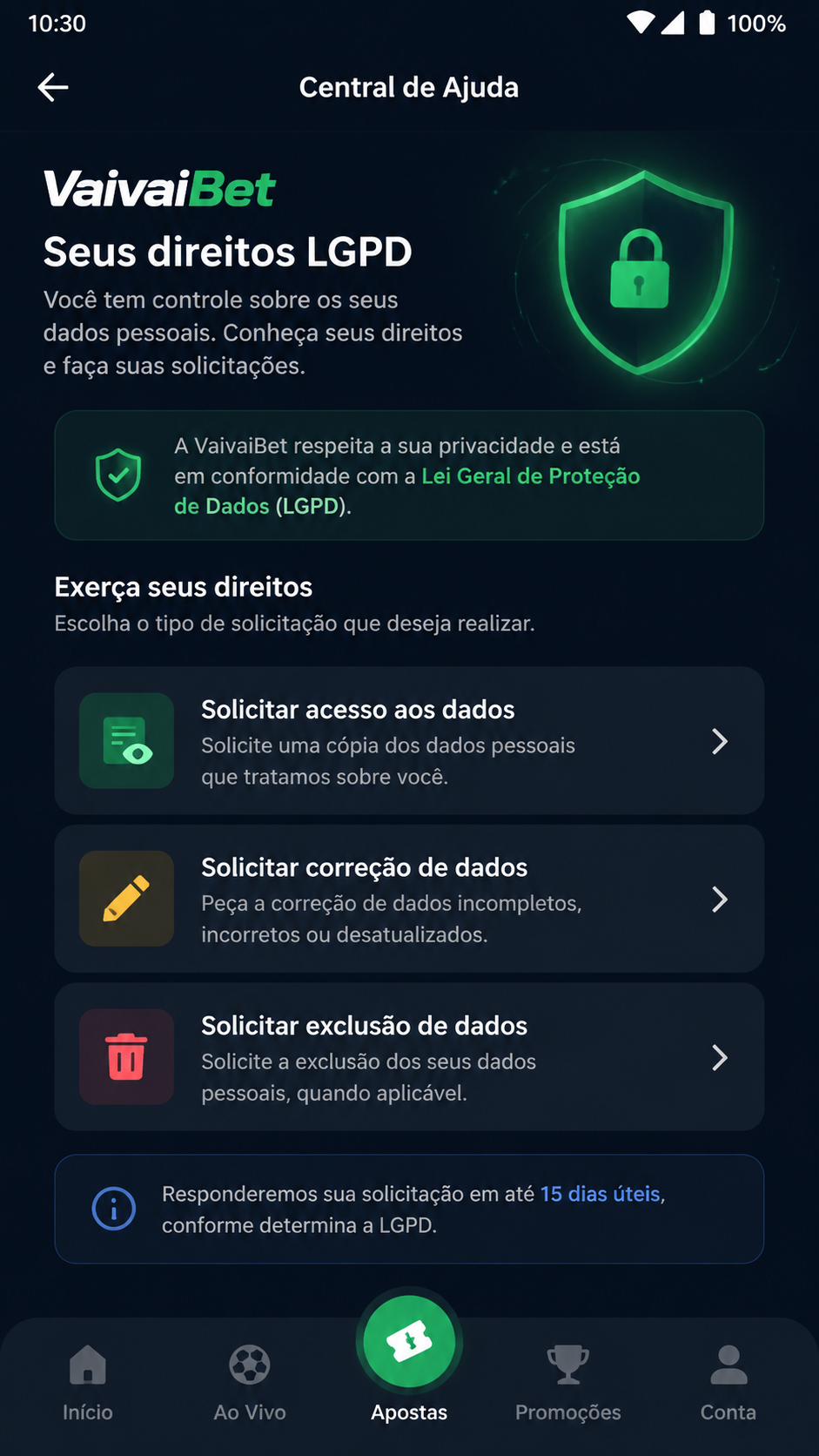 VaivaiBet screenshot