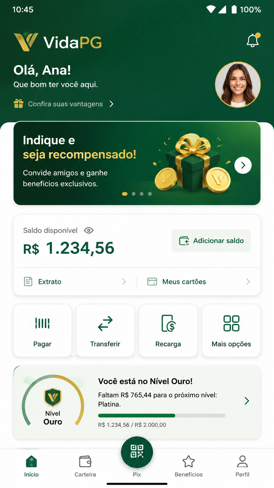 vidapg screenshot