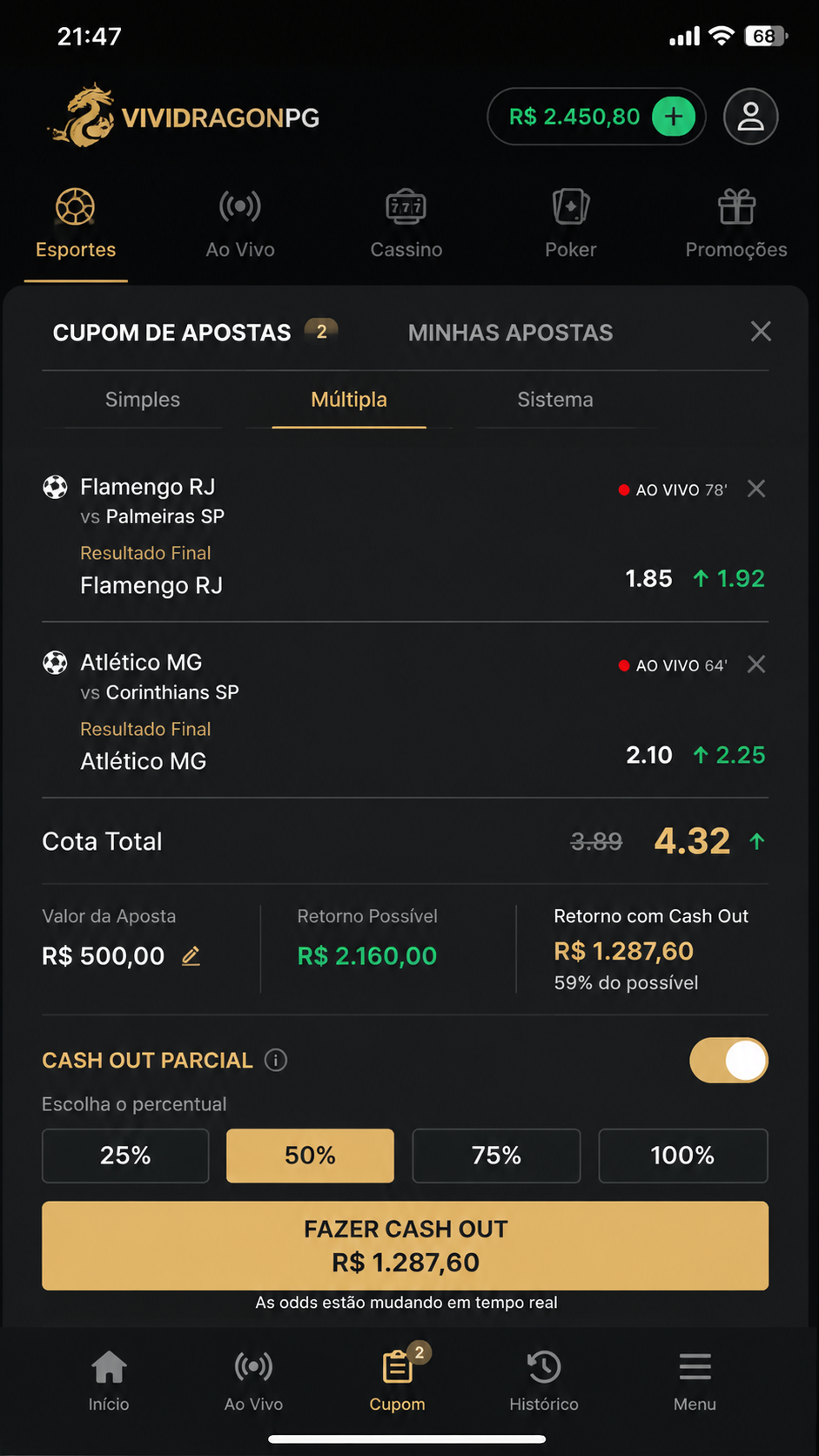 ViviDragonPG screenshot
